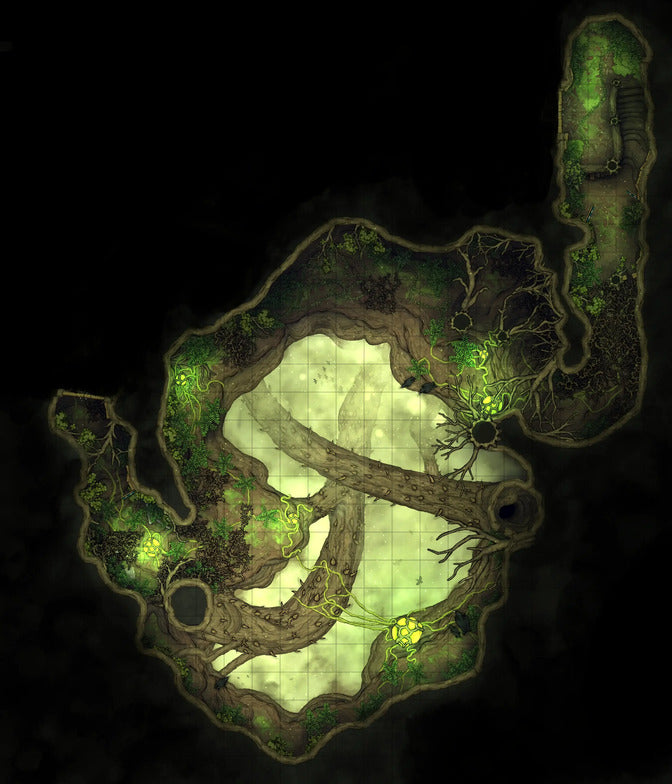 Hidden Spirit Tree Library