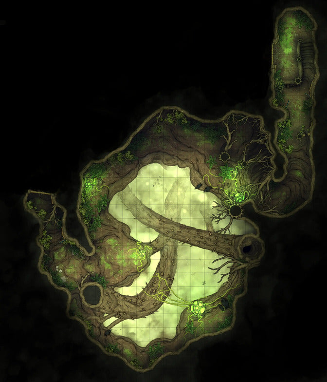 Hidden Spirit Tree Library