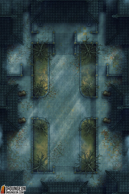 Palace Courtyard