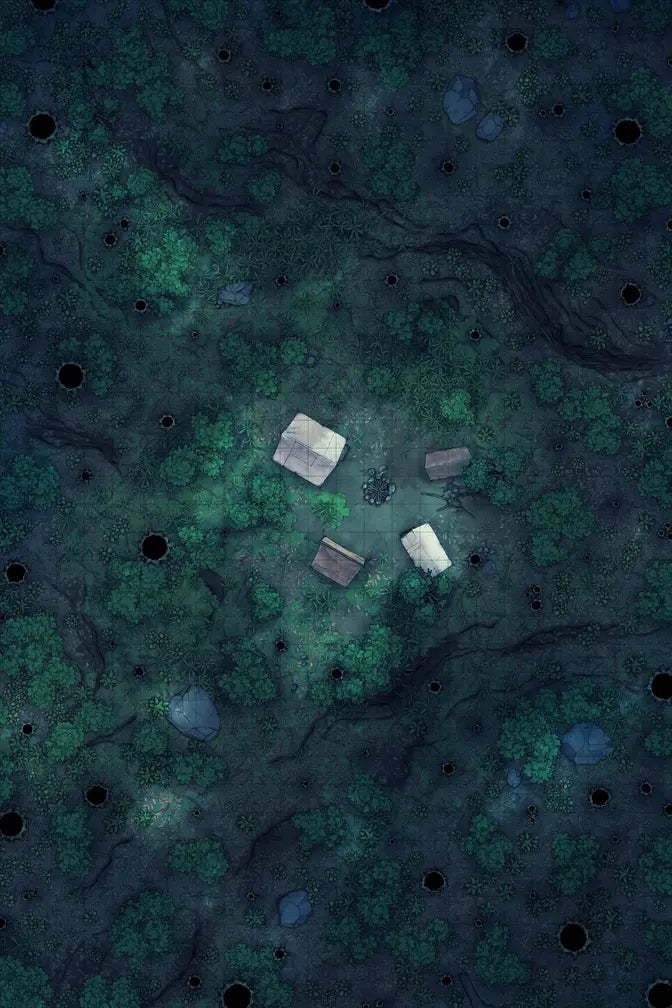 Forest Floor Pack Battlemap - overhead view forest campsite - Digital, Foundry VTT, Print