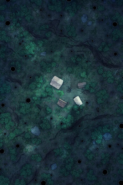 Forest Floor Pack Battlemap - overhead view forest campsite - Digital, Foundry VTT, Print