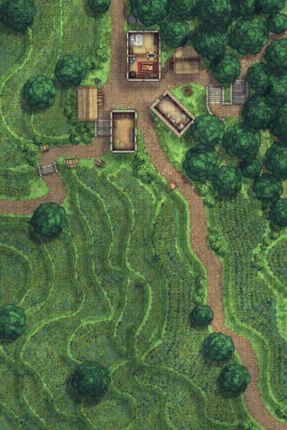 Terraced Rice Paddy Farm Battlemap - overhead view rural village - Digital, Foundry VTT, Print