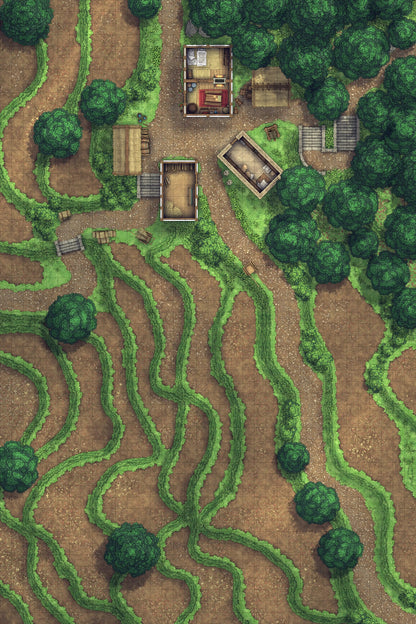 Terraced Rice Paddy Farm Battlemap - overhead view rural village - Digital, Foundry VTT, Print