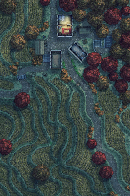 Terraced Rice Paddy Farm Battlemap - rural village map - Digital, Foundry VTT, Print